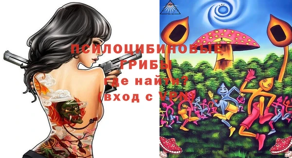 ешки Аркадак