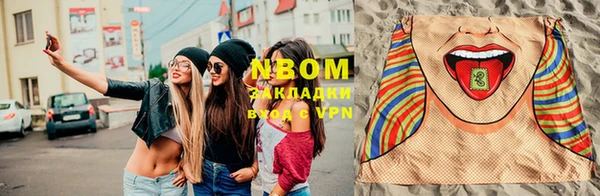 ешки Аркадак