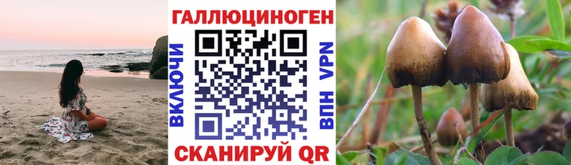 Галлюциногенные грибы мухоморы  как найти   Мурманск 