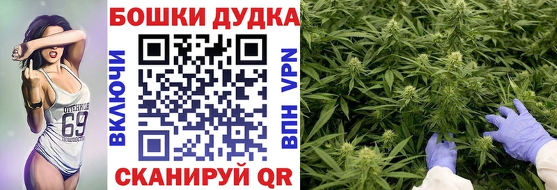 Шишки марихуана план  купить наркотик  Мурманск 